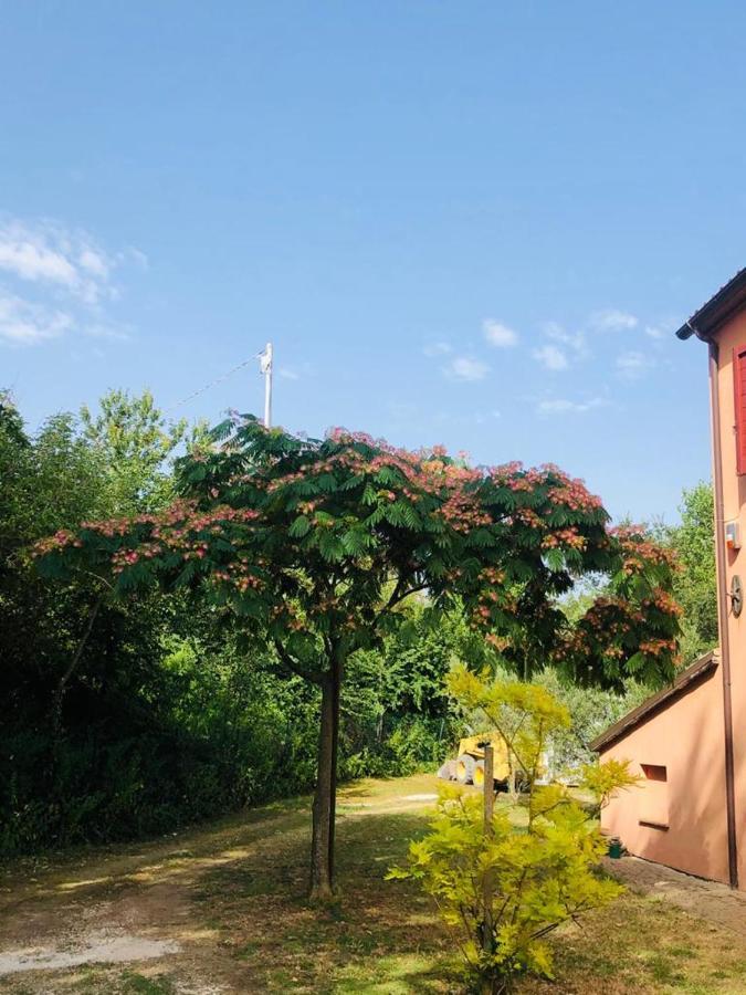 Casale Il Girasole Hotel Barbara Exterior photo